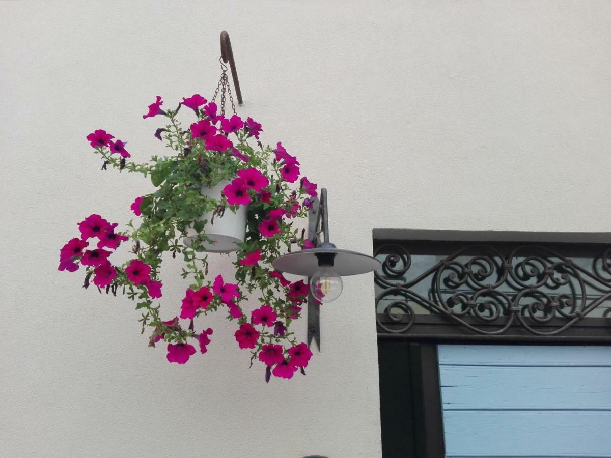 Tambien B&B Pesaro Exteriér fotografie